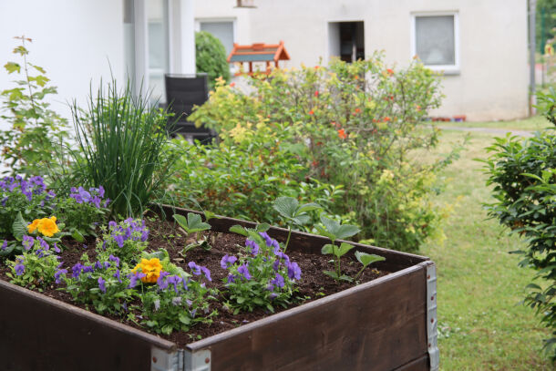 Hochbeet am Betreuten Wohnen | © Christiane Schenke